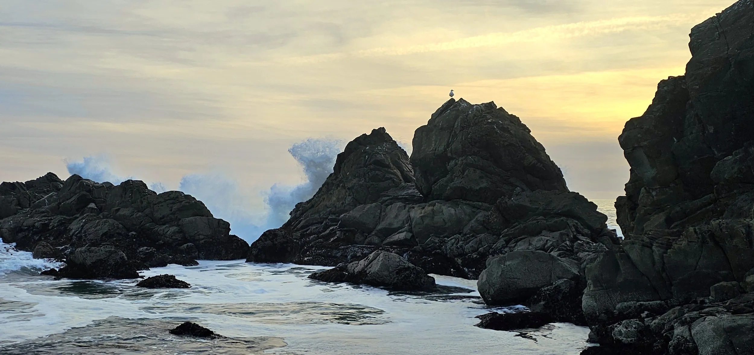 Brookings, Oregon