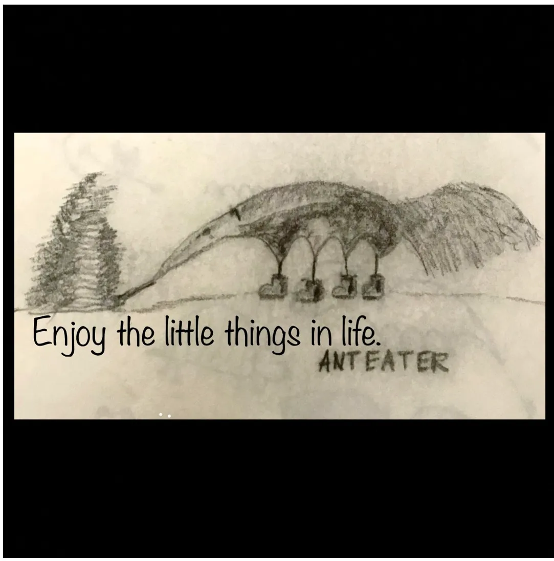Animal #1  Anteater