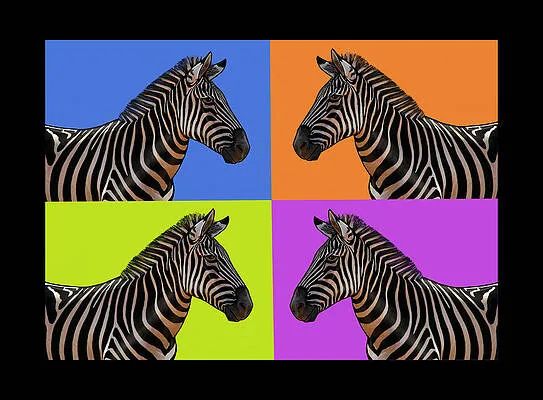 Zebra Cubed