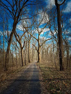 A Thousand Places to Hang Your Hat