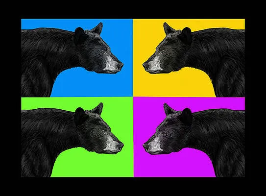 Pop Goes the Black Bear