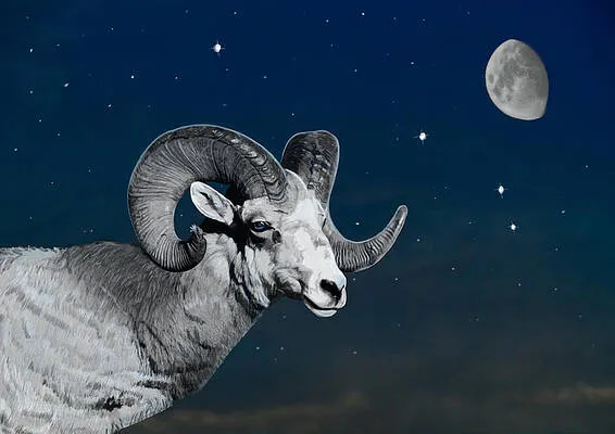 Aries Under the Waning Moon