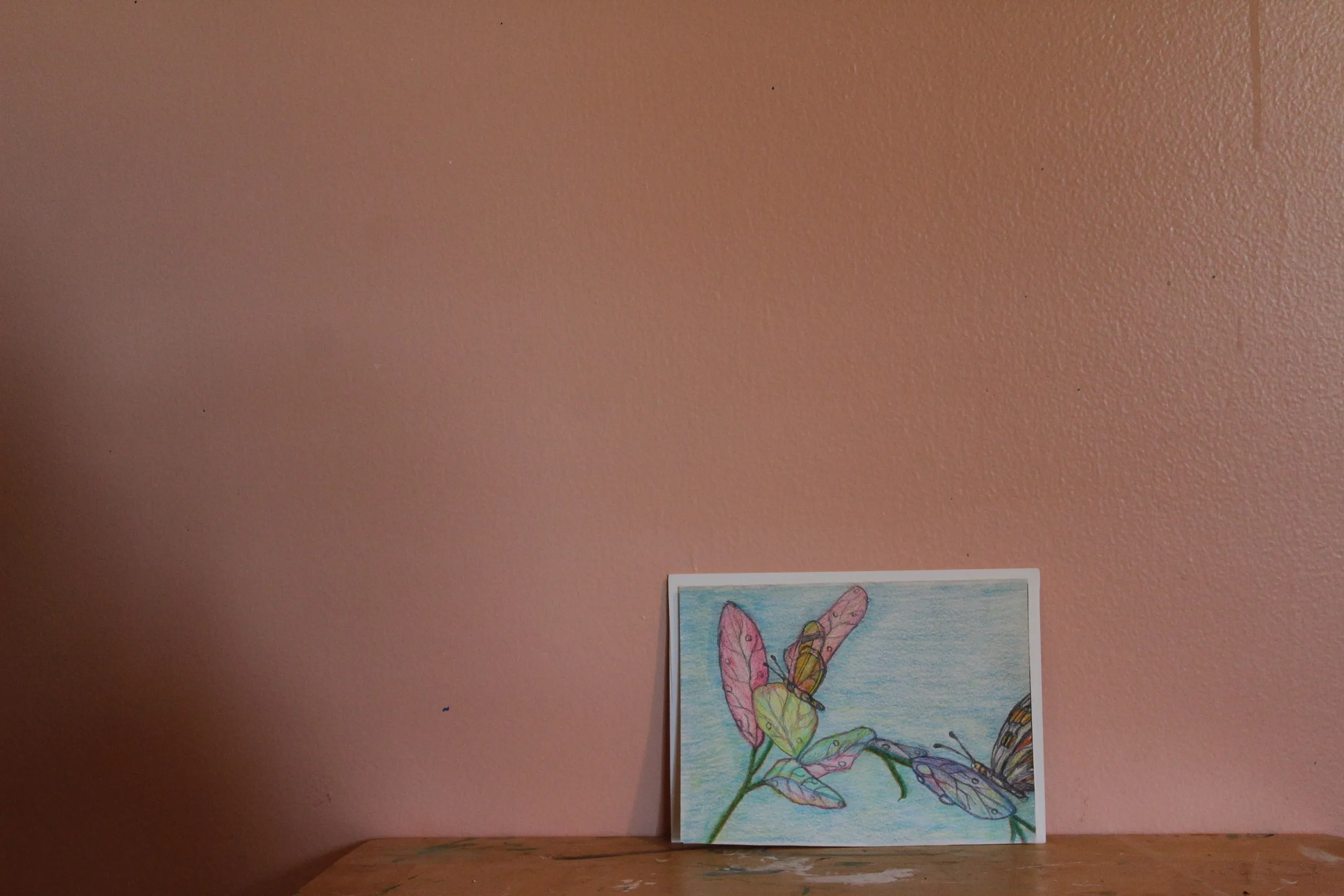 Spring And Butterfly's