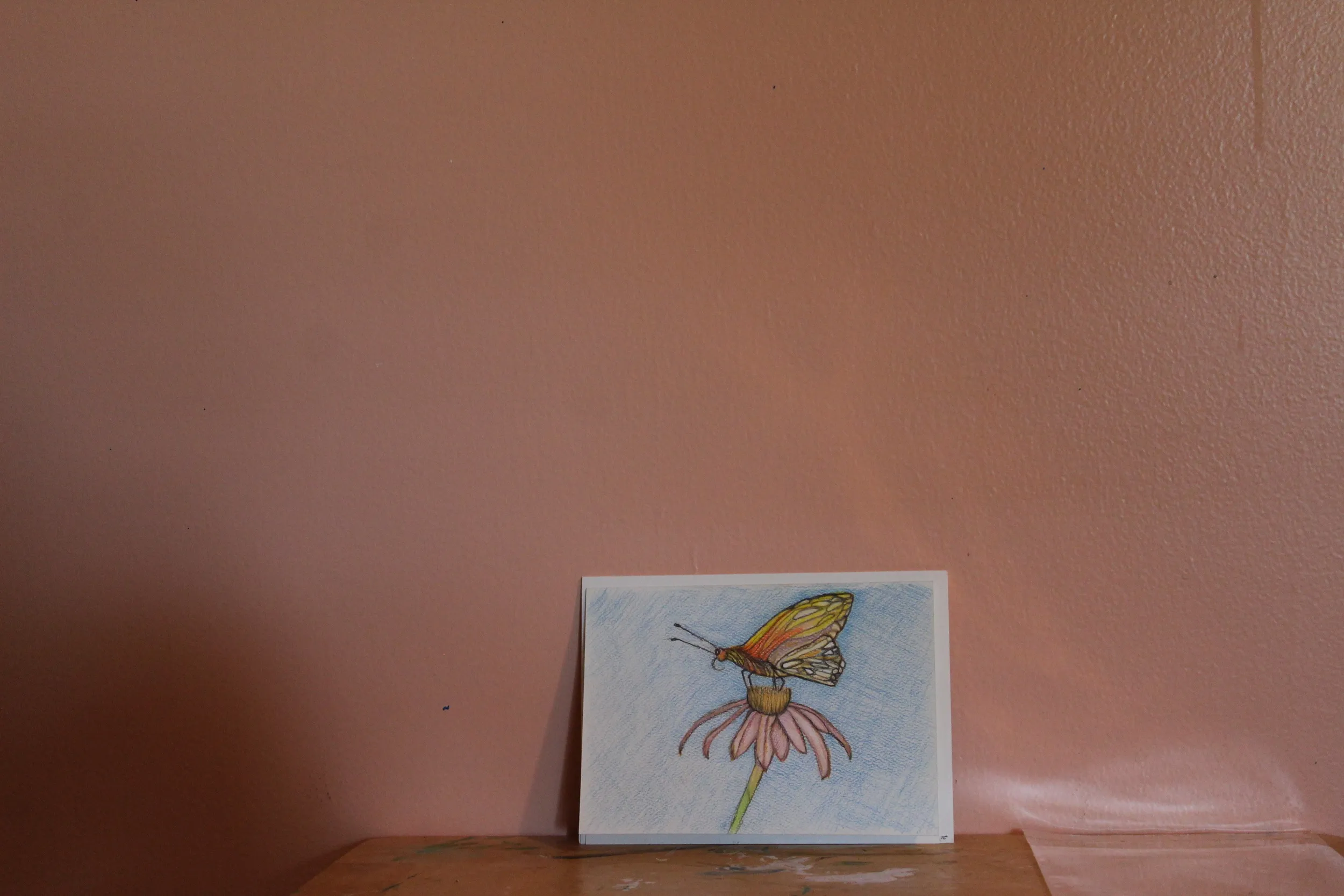 The color full butterfly