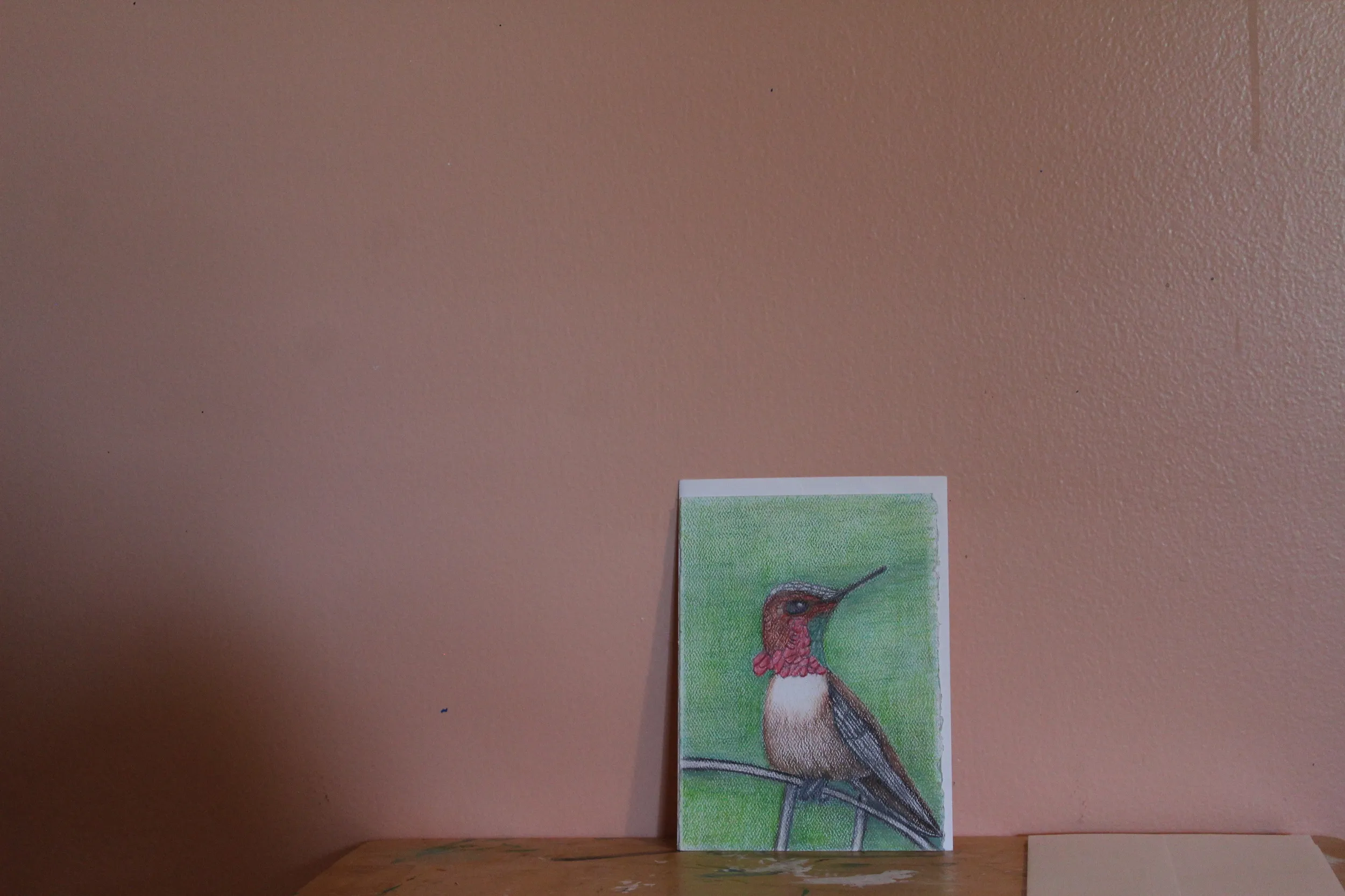 Male Ruby Humminbird