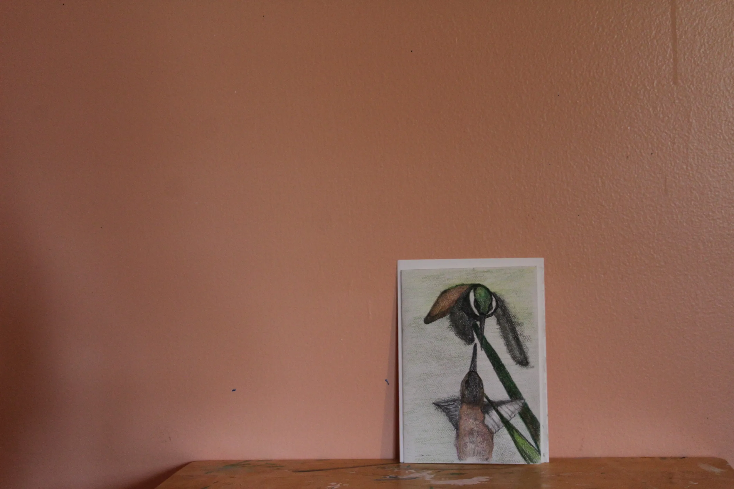 Humming Birds In Flight