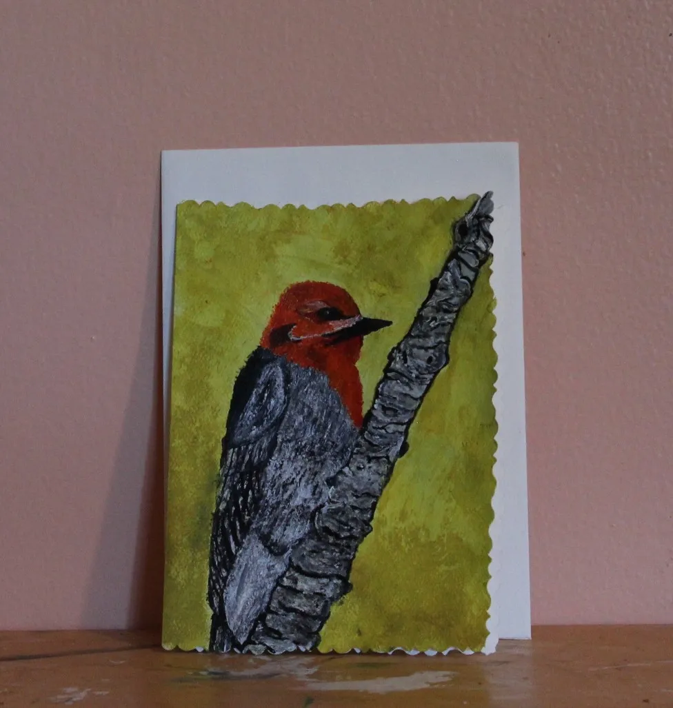 Red Headed Wood Pecker