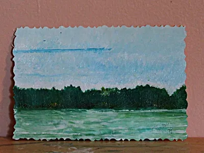 Calamus Lake Turning Green