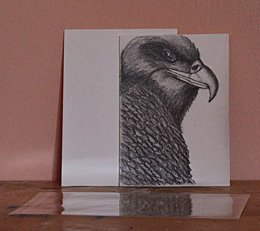 Strength And Purpose