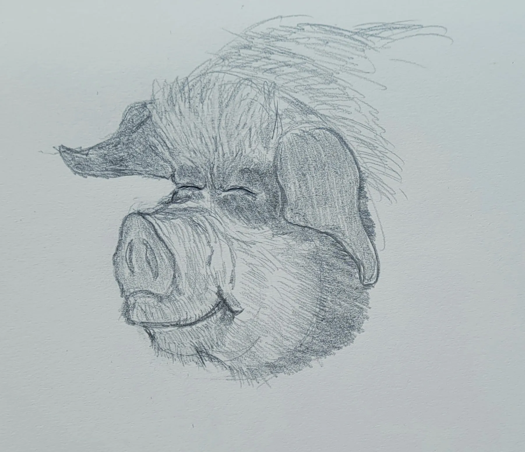 Happy Pig 2