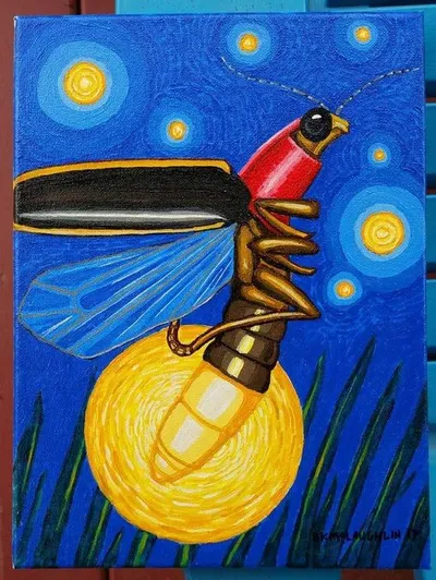 North Mankato Fireflies