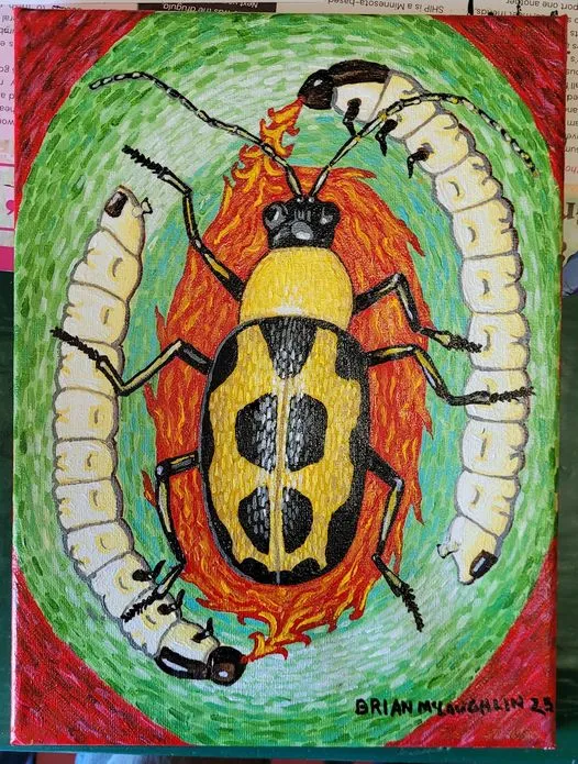 Green Bean beetles life