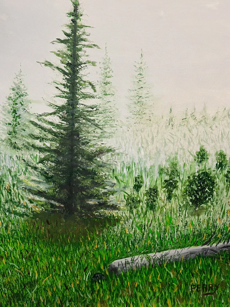 Pine trees in the Fog