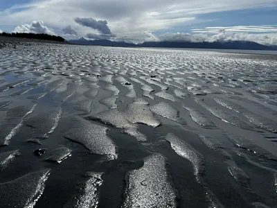 Bishop Beach   (photo)