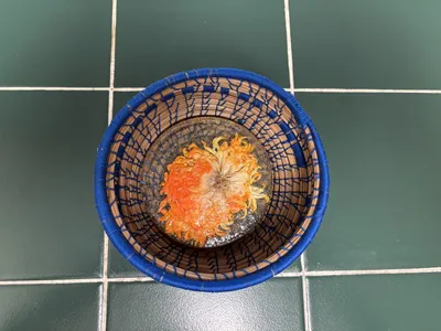 AK #2 set (Donated AK Dive, Rescue &amp; Recovery)