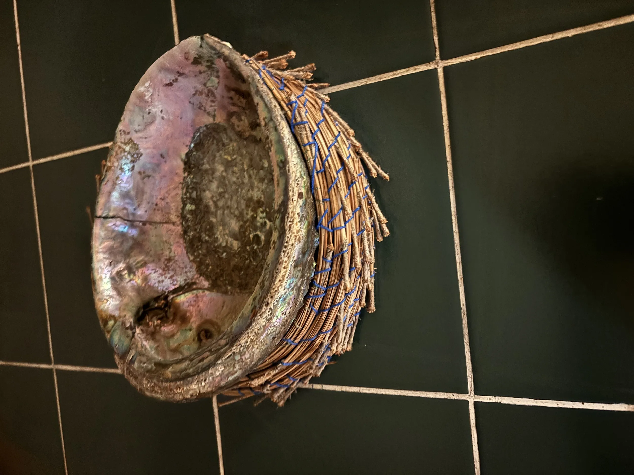 “By the sea” abalone/pine needle