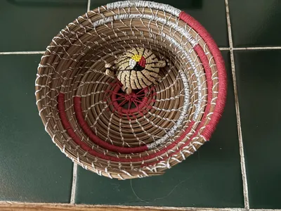 “gift” turtle (Donated)