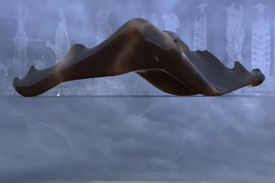 Dog Walking The Owner